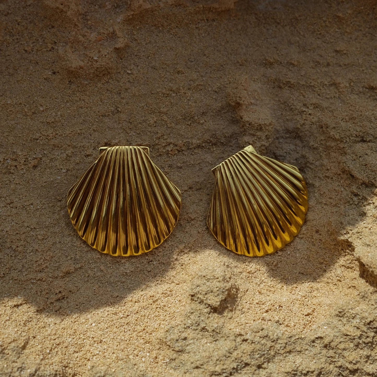Stainless Steel Big shell Big Stud Earrings - WS JewelleryStainless Steel