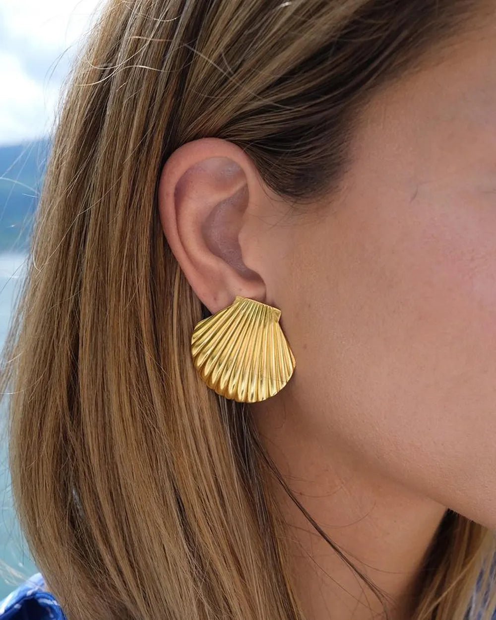 Stainless Steel Big shell Big Stud Earrings - WS JewelleryStainless Steel
