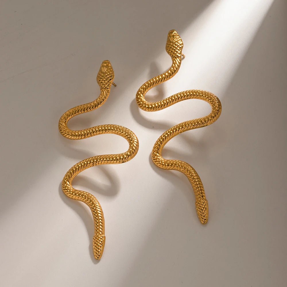 Stainless Steel Snake Unusual Metal Hoop Earrings - WS JewelleryStainless Steel