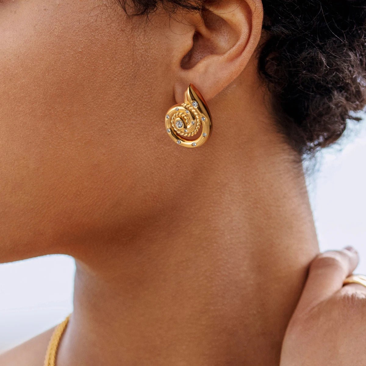 Conch Spiral Stud Earrings - WS JewelleryStainless Steel