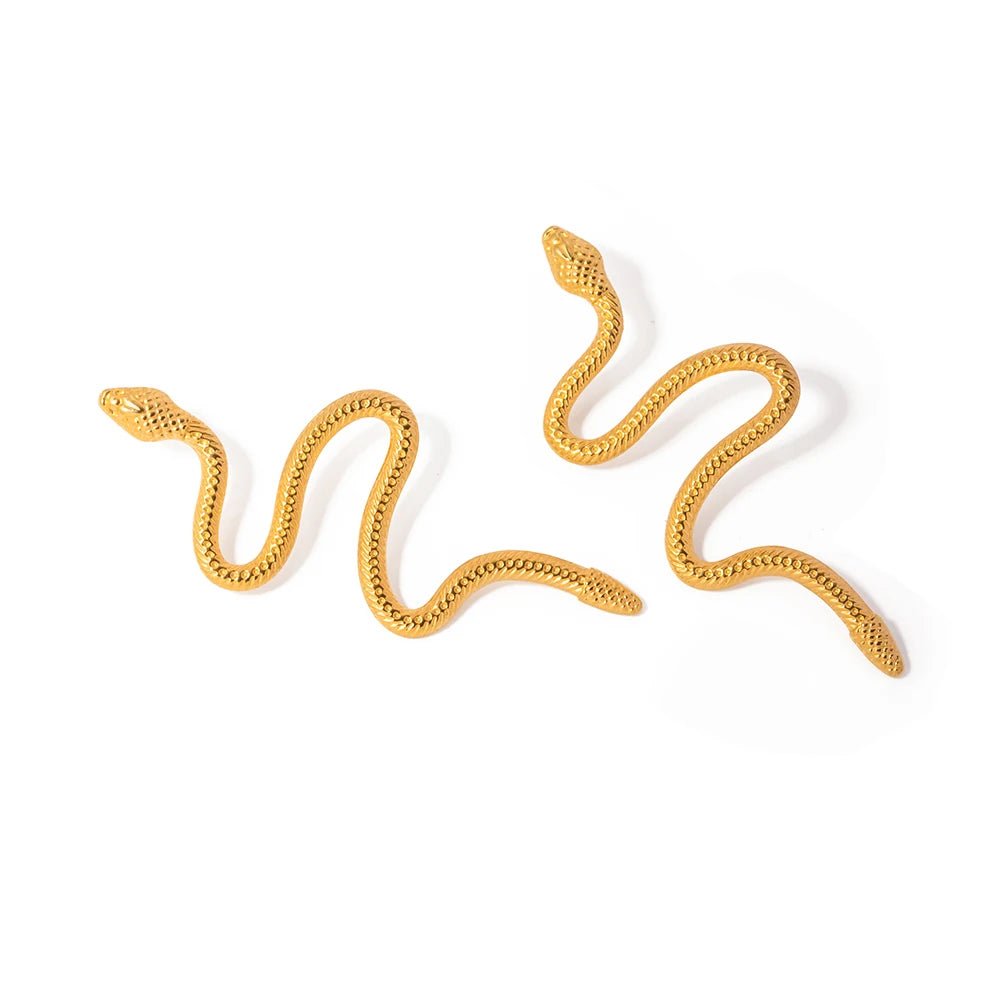 Stainless Steel Snake Unusual Metal Hoop Earrings - WS JewelleryStainless Steel