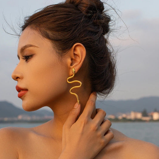 Stainless Steel Snake Unusual Metal Hoop Earrings - WS JewelleryStainless Steel