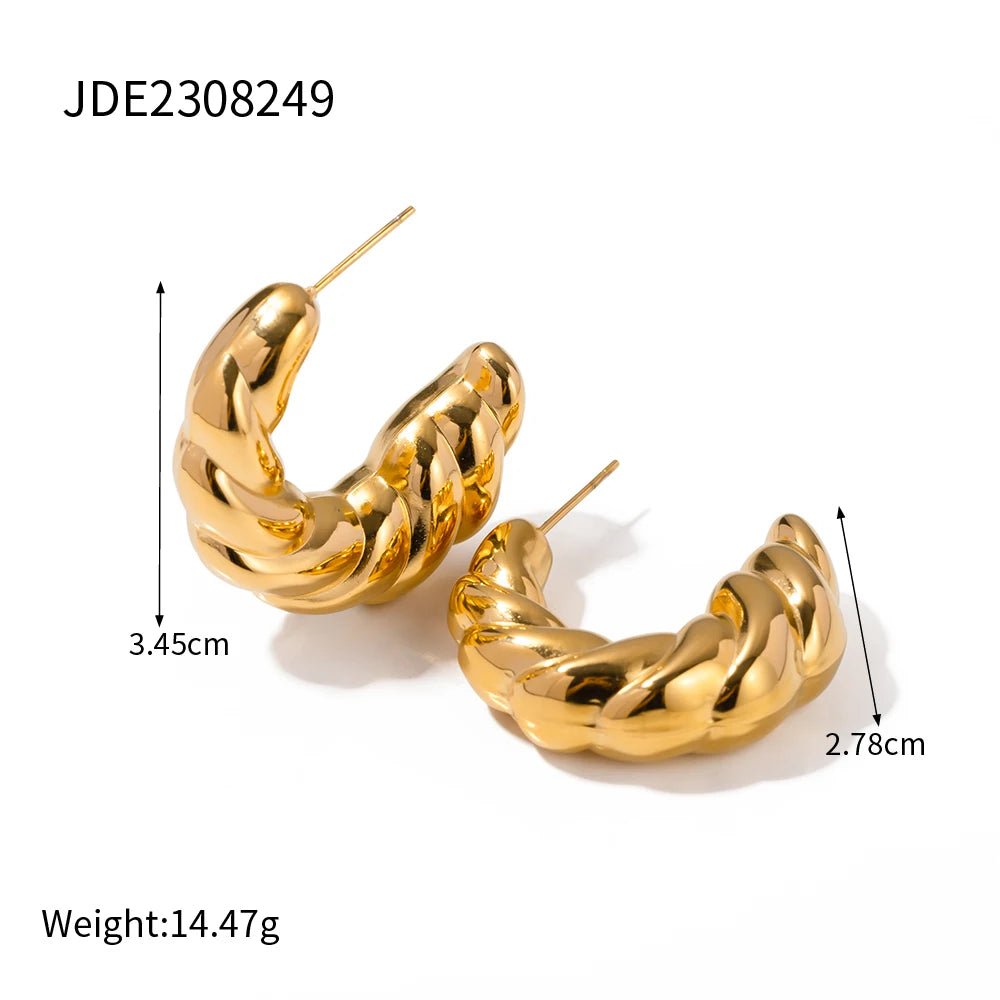 Stainless Steel Waterproof Geometric Twisted Fashion Hoop Earrings - WS JewelleryStainless Steel